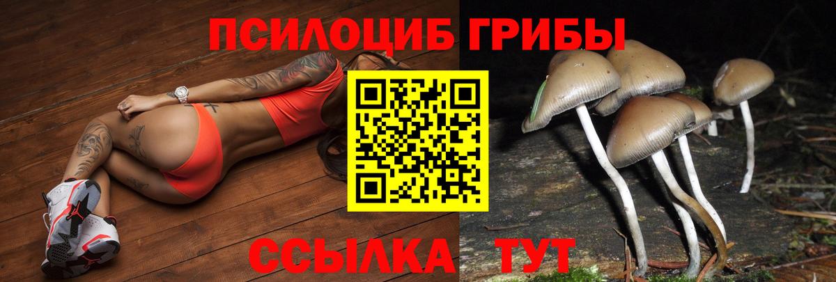 Псилоцибиновые грибы мухоморы  Вход с VPN  Новоуральск  Галлюциногенные грибы прущие грибы 